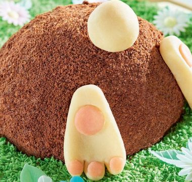 Krtkova torta Originál 435g